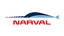 Narval