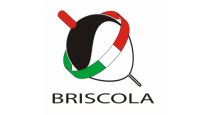 Briscola