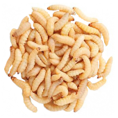 живые насадки