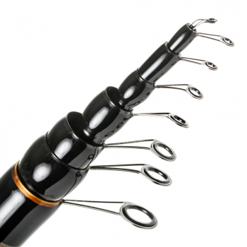 Удилища Болонские