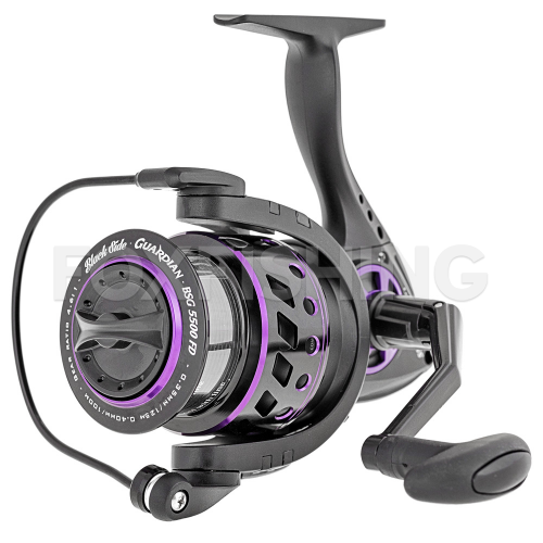 【бездомная кошка様 】goodenough GOODENOUGH 💝Emmy💝 British Shorthair female, born on 01/21/2025, Black