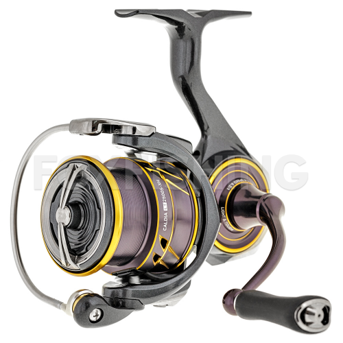DAIWA - DAIWA 　21　CALDIA LT 2500S-XH Mint