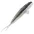 product-variation-image