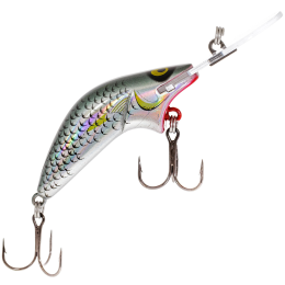 8см. 17гр. R25 до 5м. floating 