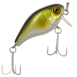 4,2гр. до 0,15м. Ssr ayu  floating 