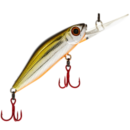 4,8см. 3,6гр. #R60 до 2м. floating 