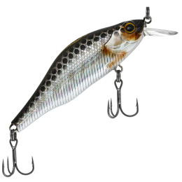 8см. 11,3гр. 264 до 1м. /suspending 