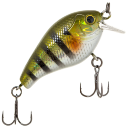 4,2см. 6,2гр. 123 до 0,5м. floating 