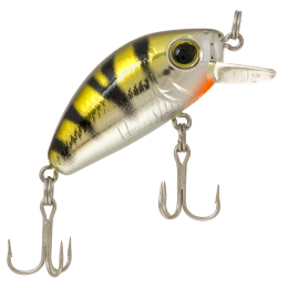 3,3см. 3,5гр. YP sinking 